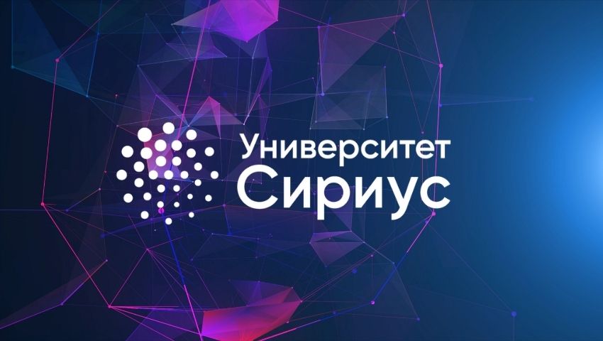 Дополнительные профессиональные программы для студентов профильных российских вузов